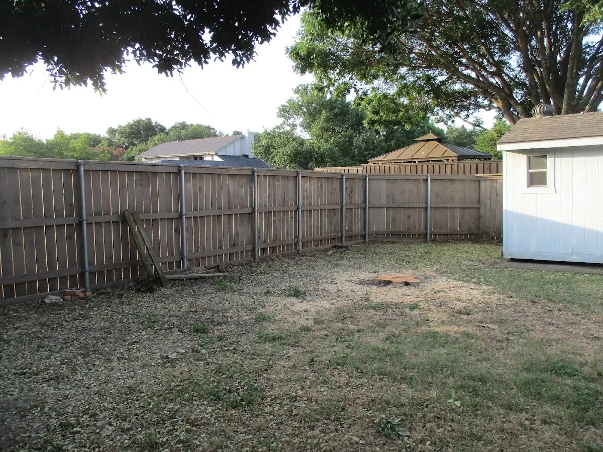 Cleared yard after professional tree removal in Saint Louisville
